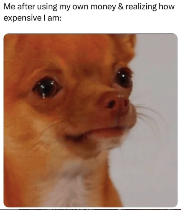 Memes About Adulting (24 pics)