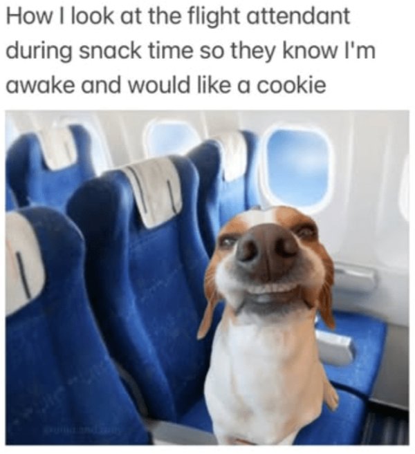 Memes About Adulting (24 pics)