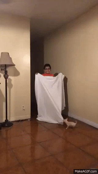 Odd Thoughts (15 gifs) Odd Thoughts (15 gifs)