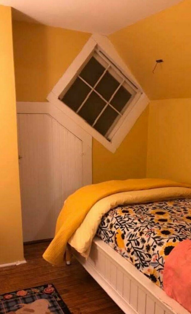 What Are These Things? (25 pics)