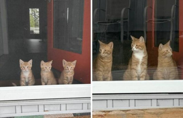 Interesting Before And After Photos (25 pics)