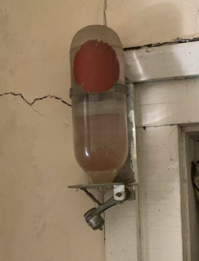 What Are These Things? (25 pics)