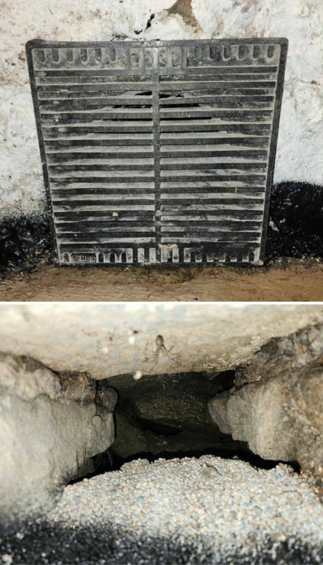 What Are These Things? (25 pics)