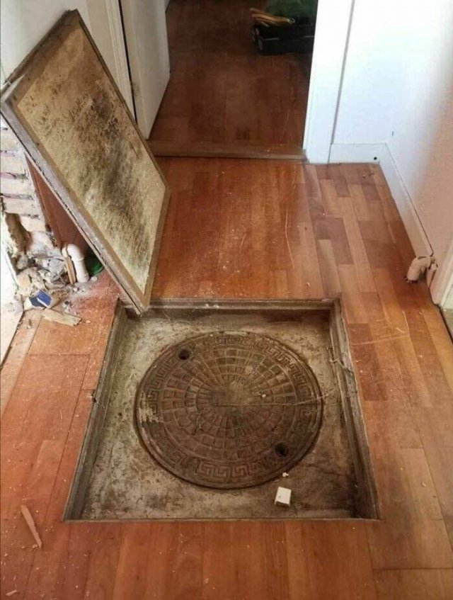 What Are These Things? (25 pics)