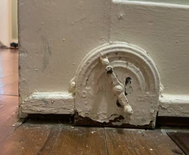 What Are These Things? (25 pics)