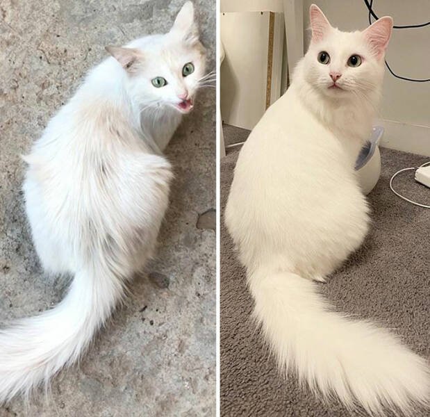 Interesting Before And After Photos (25 pics)