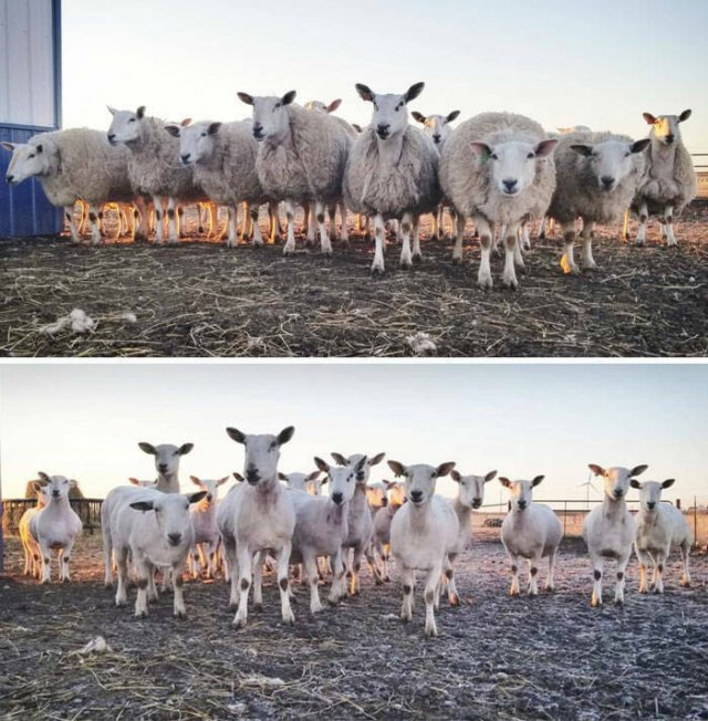 Interesting Before And After Photos (25 pics)