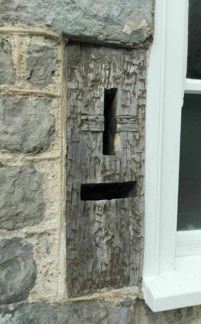 What Are These Things? (25 pics)