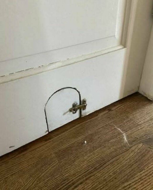 What Are These Things? (25 pics)