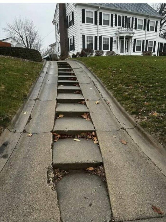 What Are These Things? (25 pics)