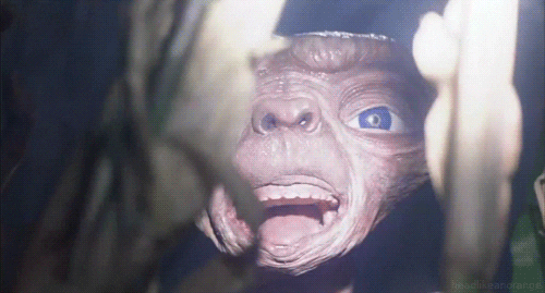 Scary Moments (18 gifs) Scary Moments (18 gifs)