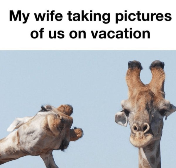 Kind Jokes For Good Mood (24 pics)