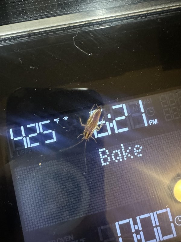 Bad Days Happen (25 pics)