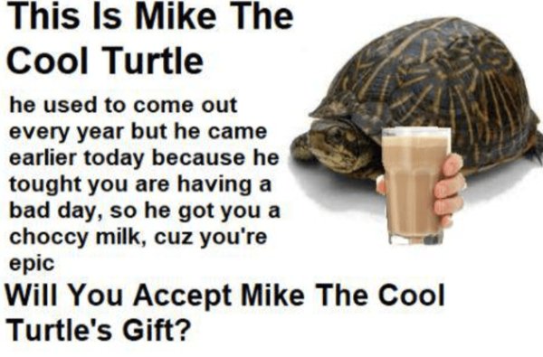 Kind Jokes For Good Mood (24 pics)