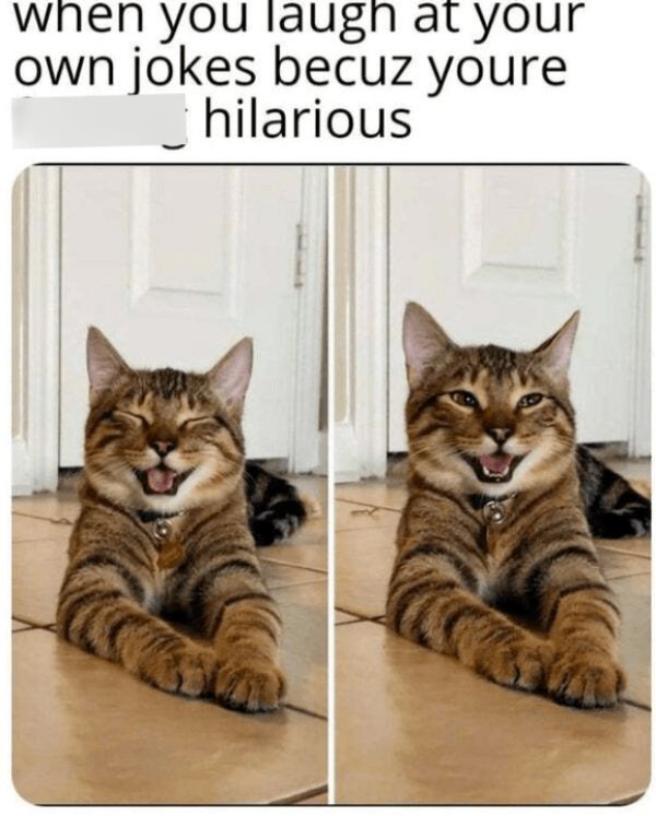 Kind Jokes For Good Mood (24 pics)