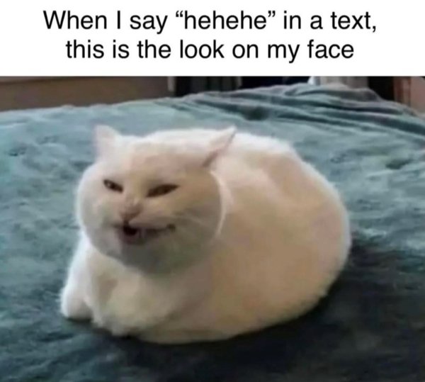 Kind Jokes For Good Mood (24 pics)