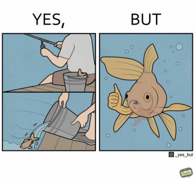 Truthful ''Yes, But'' Pictures (22 pics)