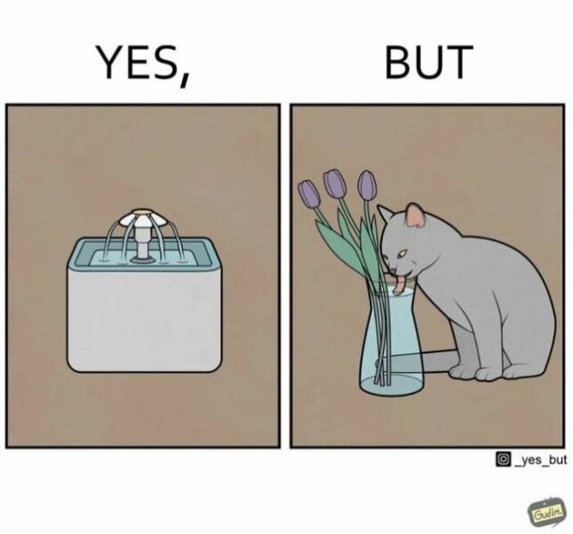 Truthful ''Yes, But'' Pictures (22 pics)