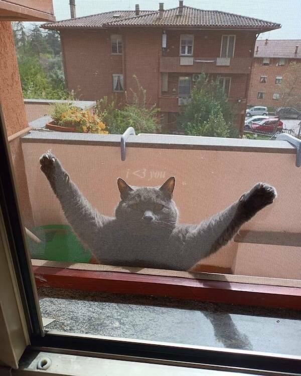 Posts And Photos For Good Mood (14 pics)