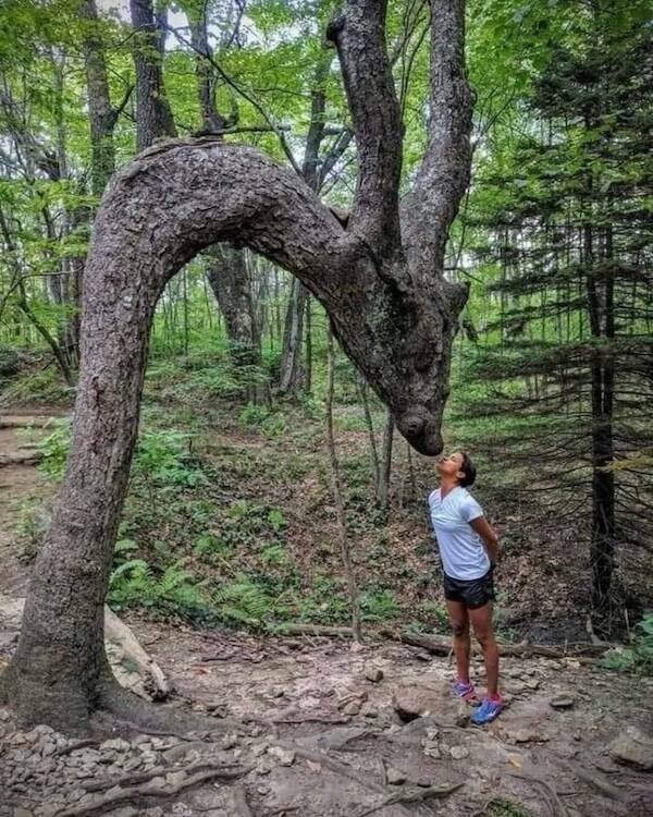 Posts And Photos For Good Mood (14 pics)