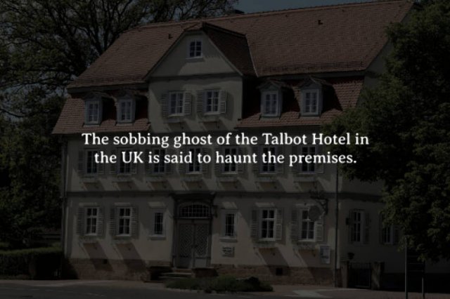 Creepy Facts (15 pics)
