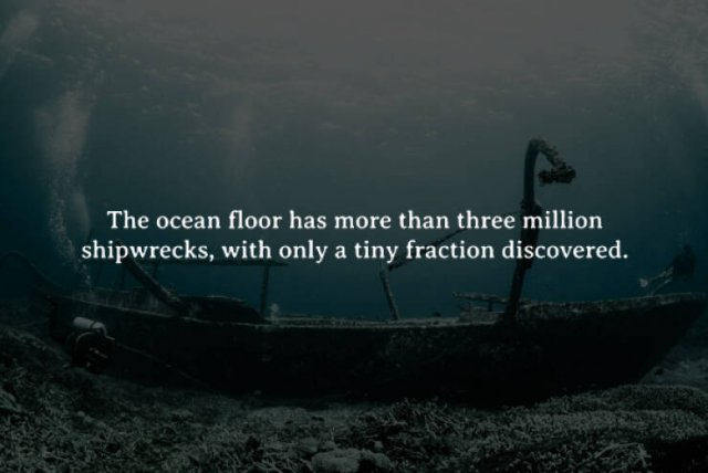 Creepy Facts (15 pics)