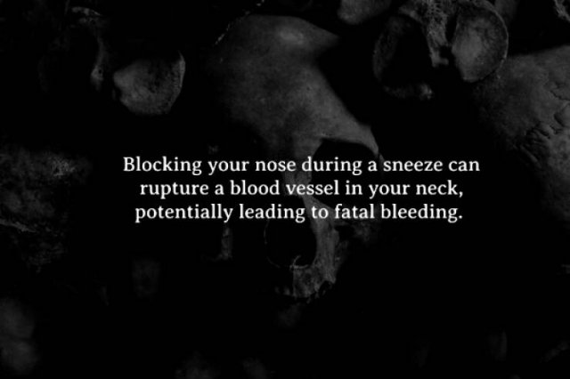 Creepy Facts (15 pics)
