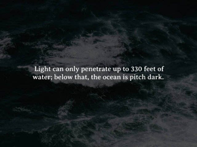 Creepy Facts (15 pics)