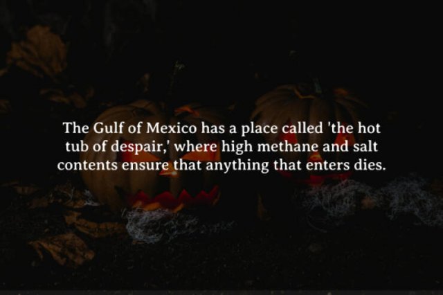 Creepy Facts (15 pics)