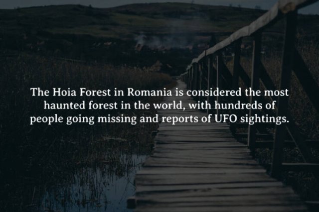 Creepy Facts (15 pics)