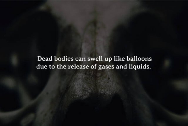 Creepy Facts (15 pics)