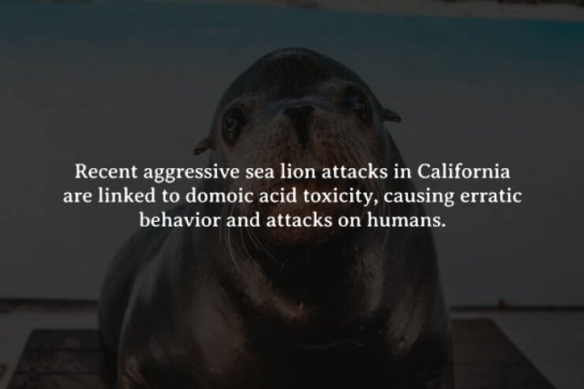 Creepy Facts (15 pics)