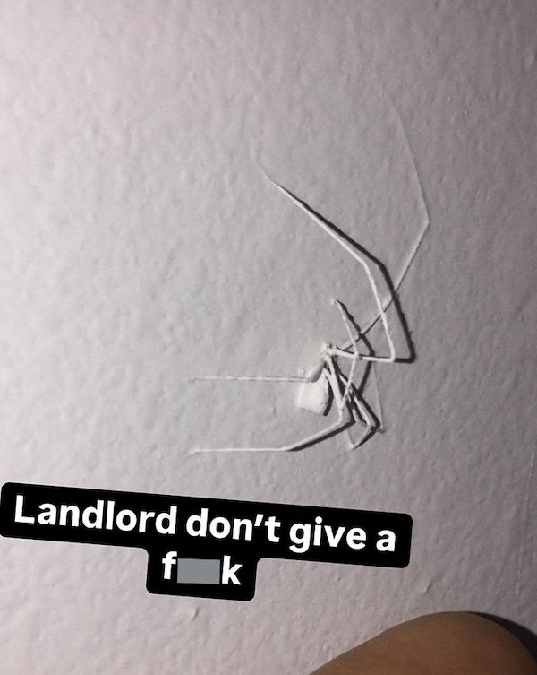 Terrible Landlords (29 pics)