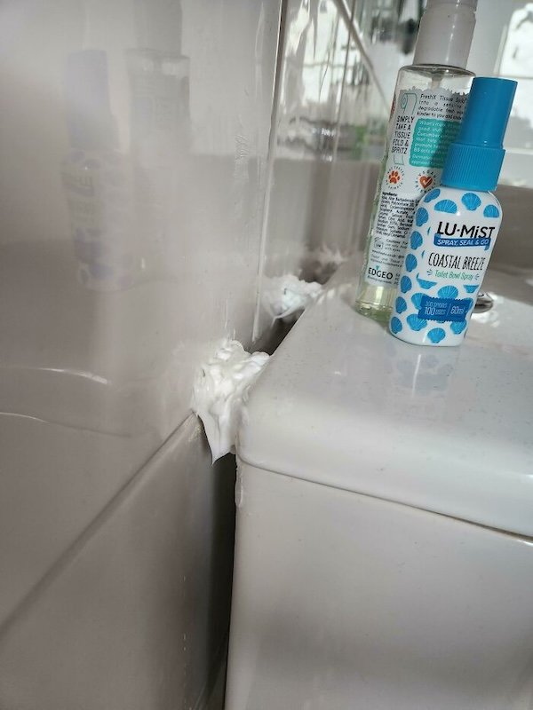 Terrible Landlords (29 pics)