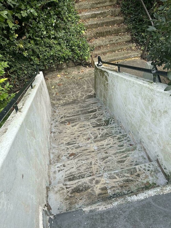 Terrible Landlords (29 pics)
