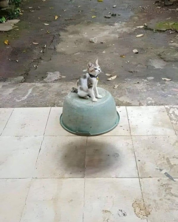 What Is Going On Here? (31 pics)