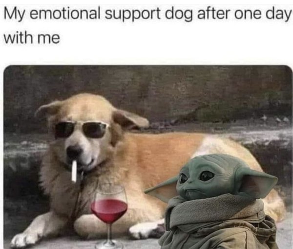 Memes For Introverts (24 pics)