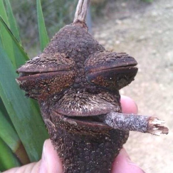 What Is Going On Here? (31 pics)