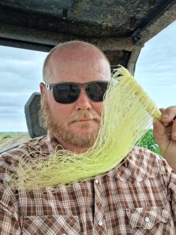 Unusual Finds And Discoveries (24 pics)
