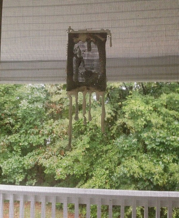 Terrible Landlords (29 pics)