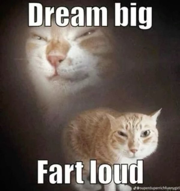 Memes For Introverts (24 pics)