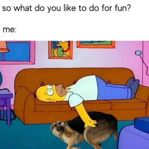 Memes For Introverts (24 pics)