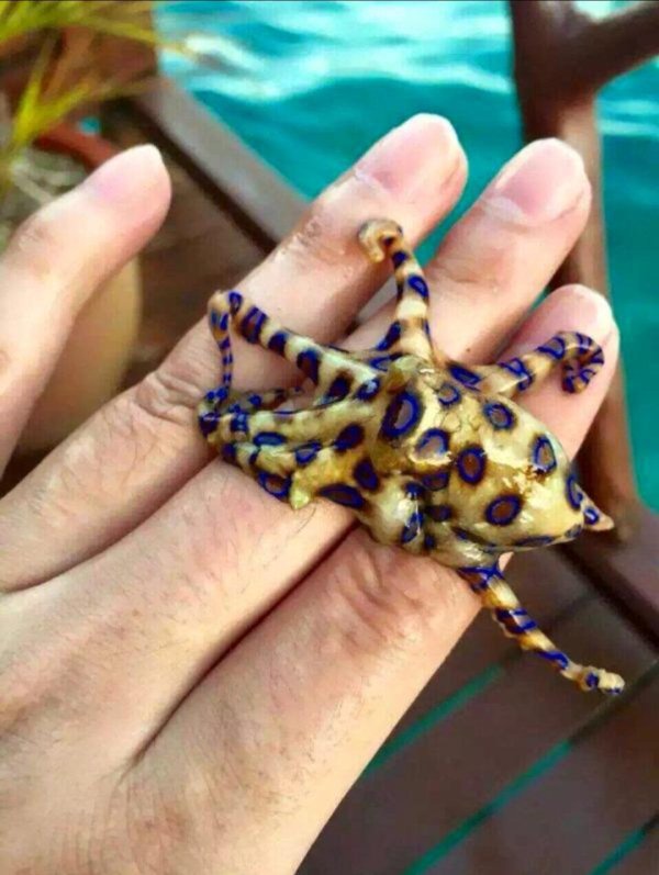 What Is Going On Here? (31 pics)