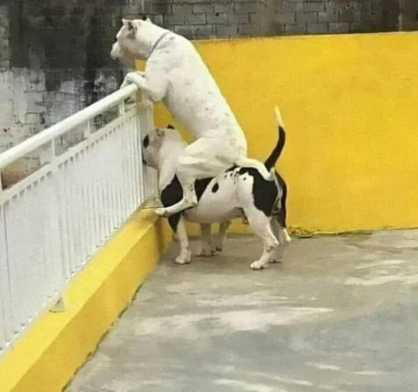 What Is Going On Here? (31 pics)