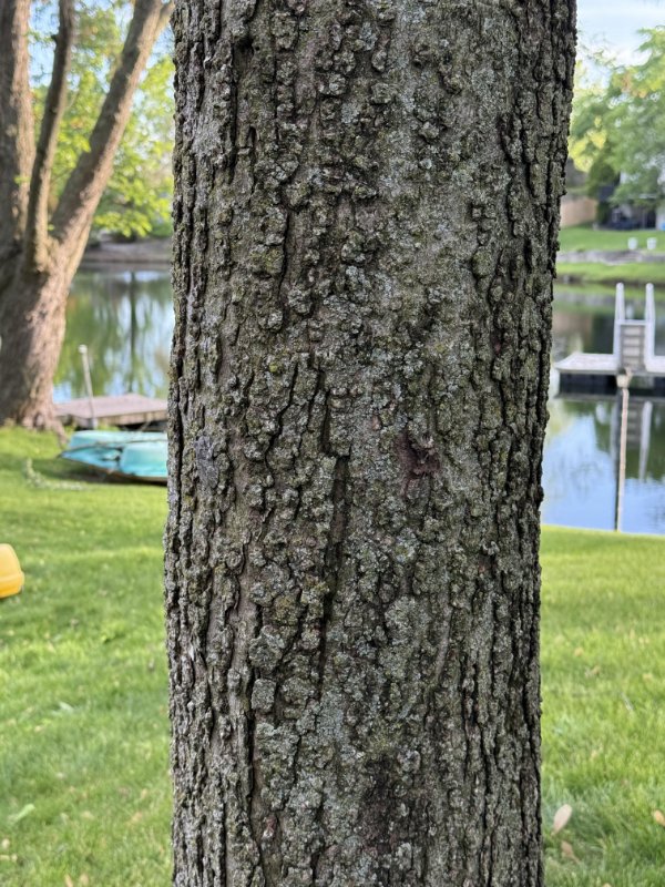 Unusual Finds And Discoveries (24 pics)