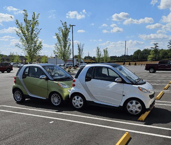 What Is Going On Here? (31 pics)