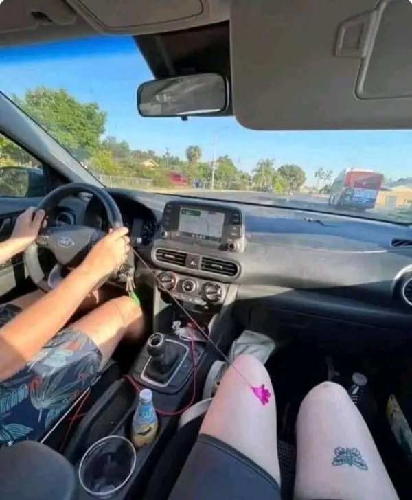 What Is Going On Here? (31 pics)