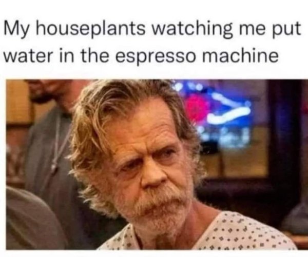 Memes For Introverts (24 pics)