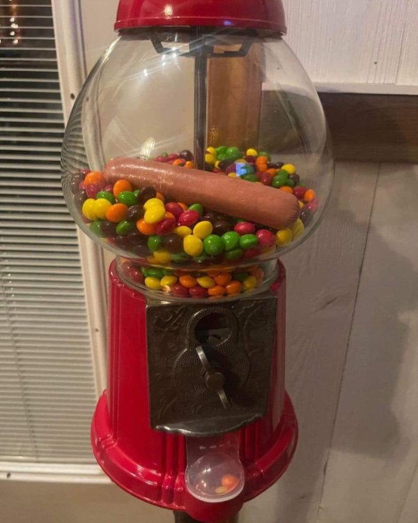 What Is Going On Here? (31 pics)