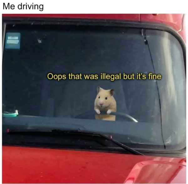 Memes For Introverts (24 pics)